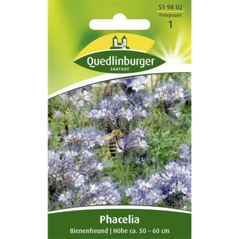 Phacelia, Amie des abeilles