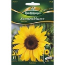 Tournesols, Eversun