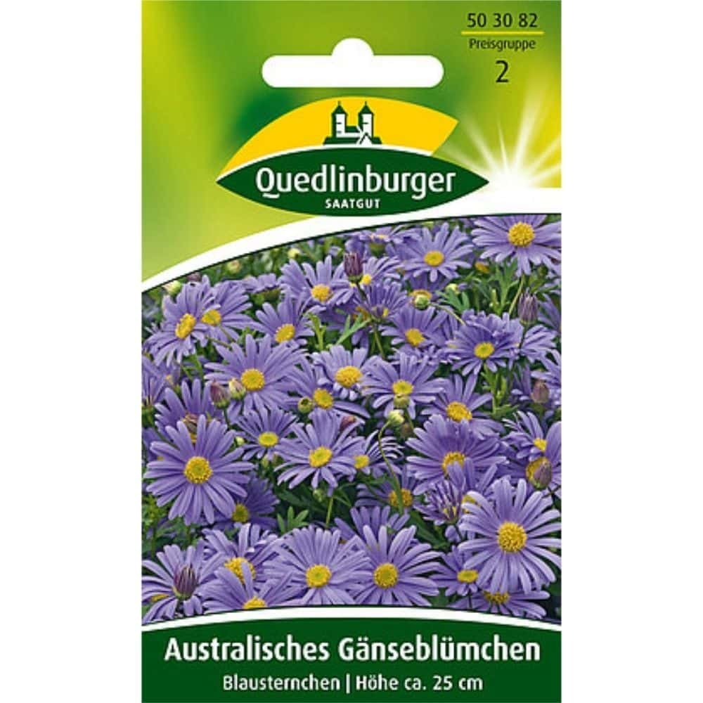 Marguerite australienne, Fleur bleue