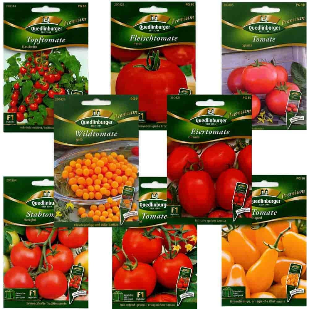 Graines de tomates premium, différentes variétés au choix