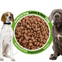 Croquettes pour chiens Perfecto Dog Agneau & Riz 15kg