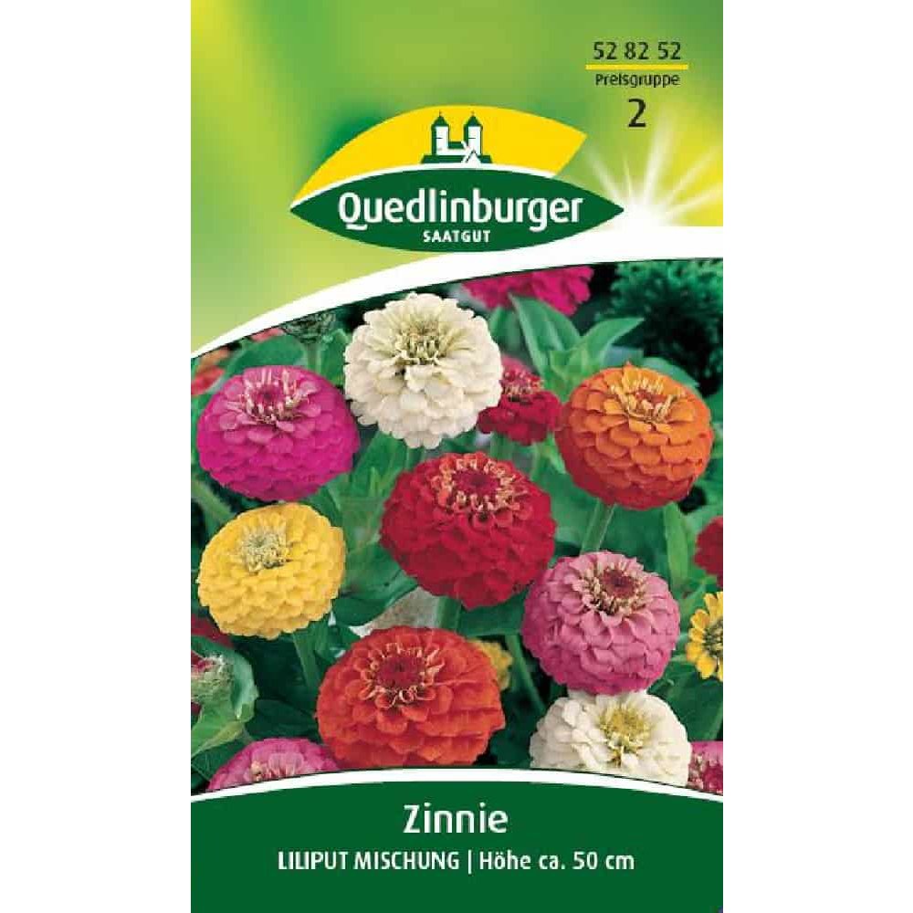 Zinnia, Mélange Liliput