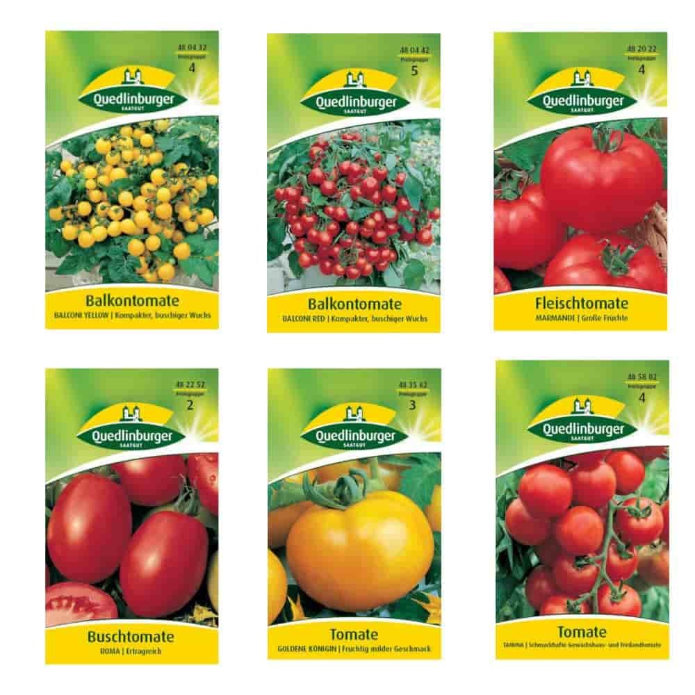 Graines de tomates, différentes variétés disponibles