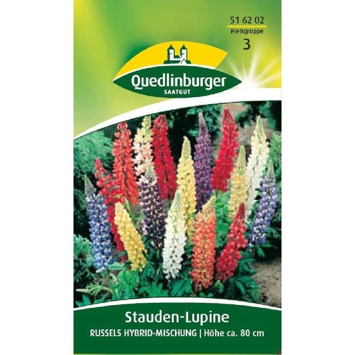 [BONI-516202] Lupin vivace, mélange hybride de Russel