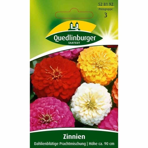 [BONI-528192] Zinnia, mélange splendide à fleurs de dahlia